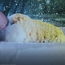 Washing a car by hand with Simoniz shampoo